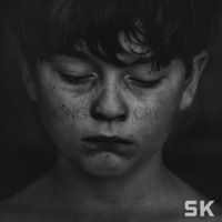 Song Cry - Single - Skepter