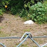 Take Me Away Like U Always Take My Pain - Single - Casperrr