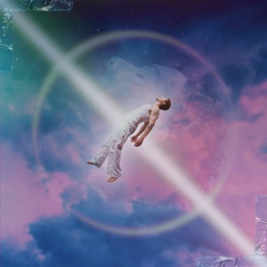 Lost In The Simulation