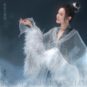 董真歌曲器乐辑 - EP