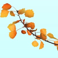 Automne - Single - eicki