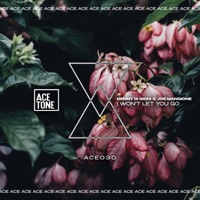 I Won't Let You Go - Single - Benny di Gioia & Joe Mangione