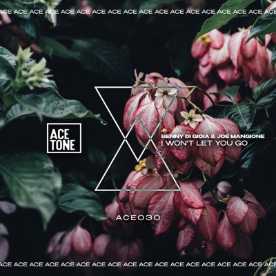 I Won't Let You Go - Single