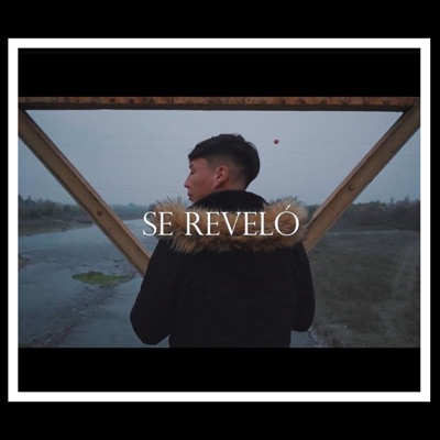 Se reveló - Single