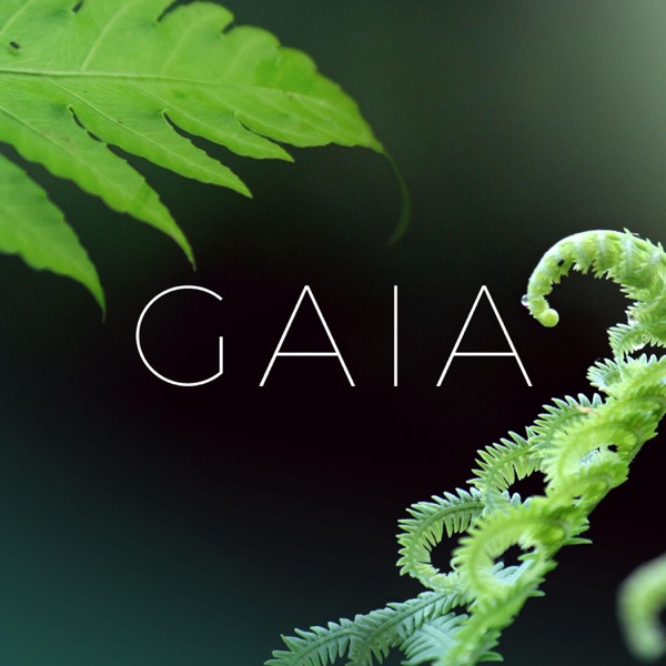 Gaia
