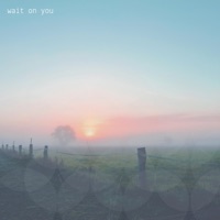 Wait on You - Single - Hillside Recording & Diana Trout
