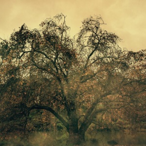 These Broken Places (feat. Selina Carrera)