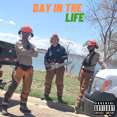 Day In the Life - Single