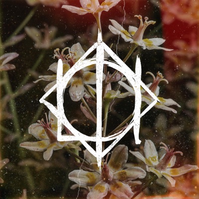 Let The Weak Sleep - Single