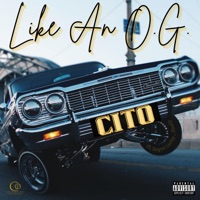 Like an O.G. (feat. Rogue Lucky & Shady) - Single - Cito