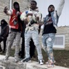 Bfe Da Mob (feat. Bfe lilnavyp) - Single