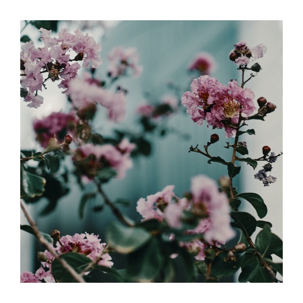 Meditation and Relaxation Just for You