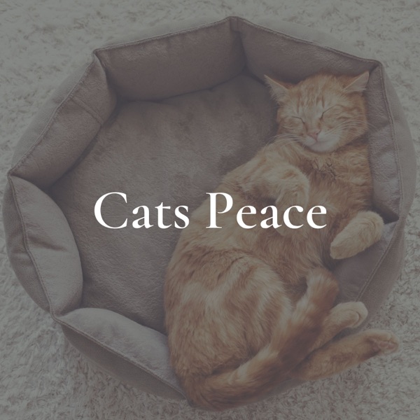 Cats Peace