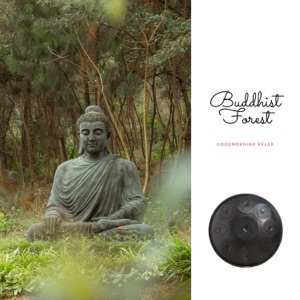 Buddhist Forest: Hang Drum Music