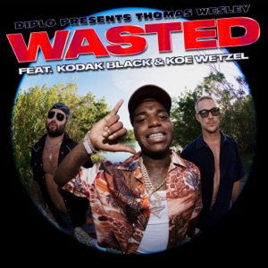 Wasted (feat. Kodak Black & Koe Wetzel)