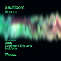 Aurora (Erol Arda Remix) - Single - Saultloom