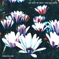 You Hurt Me More Than You Know - Single - Somberbloom