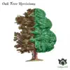 Tribe Of The Disco Kings (Soren Aalberg Remix)