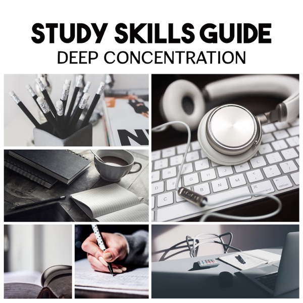 Study Skills Guide – Deep Concentration, Brain Stimulation, Increase Knowledge, Easy Listening, Full Focus on Learning