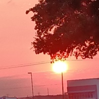 Wild Sides (feat. Pappy the Don) - Single - JUDO BACCHUS