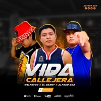 Vida Callejera (feat. Wilfrydo & El Danny) - Single - alfred 502