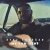 Duvar Gibi