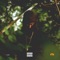 Zelda (feat. Dreemy Yoey) - Dreemy Alpha lyrics