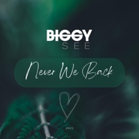 Never We Back - Single - Biggy See
