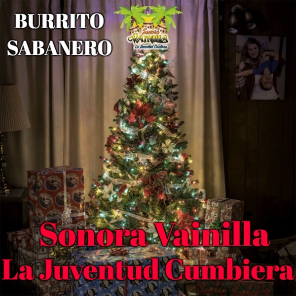 Burrito Sabanero