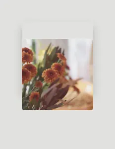 Escucha a 三七, mira videos musicales, lee su biografía, consulta las fechas de las gira y más.