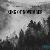 KING of NOVEMBER (feat. Rellim) - Single - Beamon & Always November