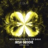 Irish Groove (feat. Or Barak) - Single