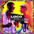 Loco
