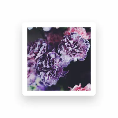 Listen to Tranquil Piano, watch music videos, read bio, see tour dates & more!