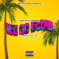 We Go Dumb (feat. Lil Weiner) - Single - S.I.N.