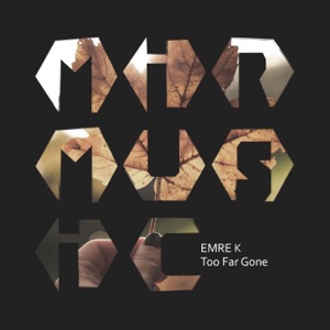 Too Far Gone - Single
