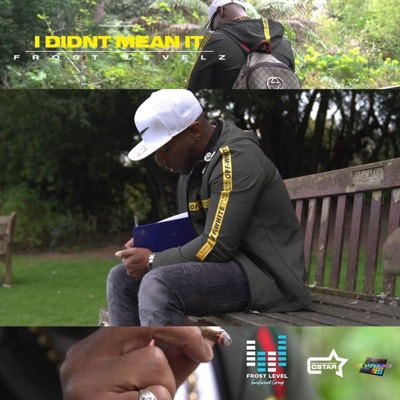 I Didnt Mean It - Single