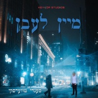 מיין לעבן - Single - Mendy Twerski