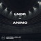 ANIMO - LNDR lyrics