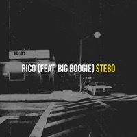 RICO (feat. BIG BOOGIE) [Radio Edit] - Single - Stebo