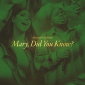Mary Did You Know? (Radio Version) artwork