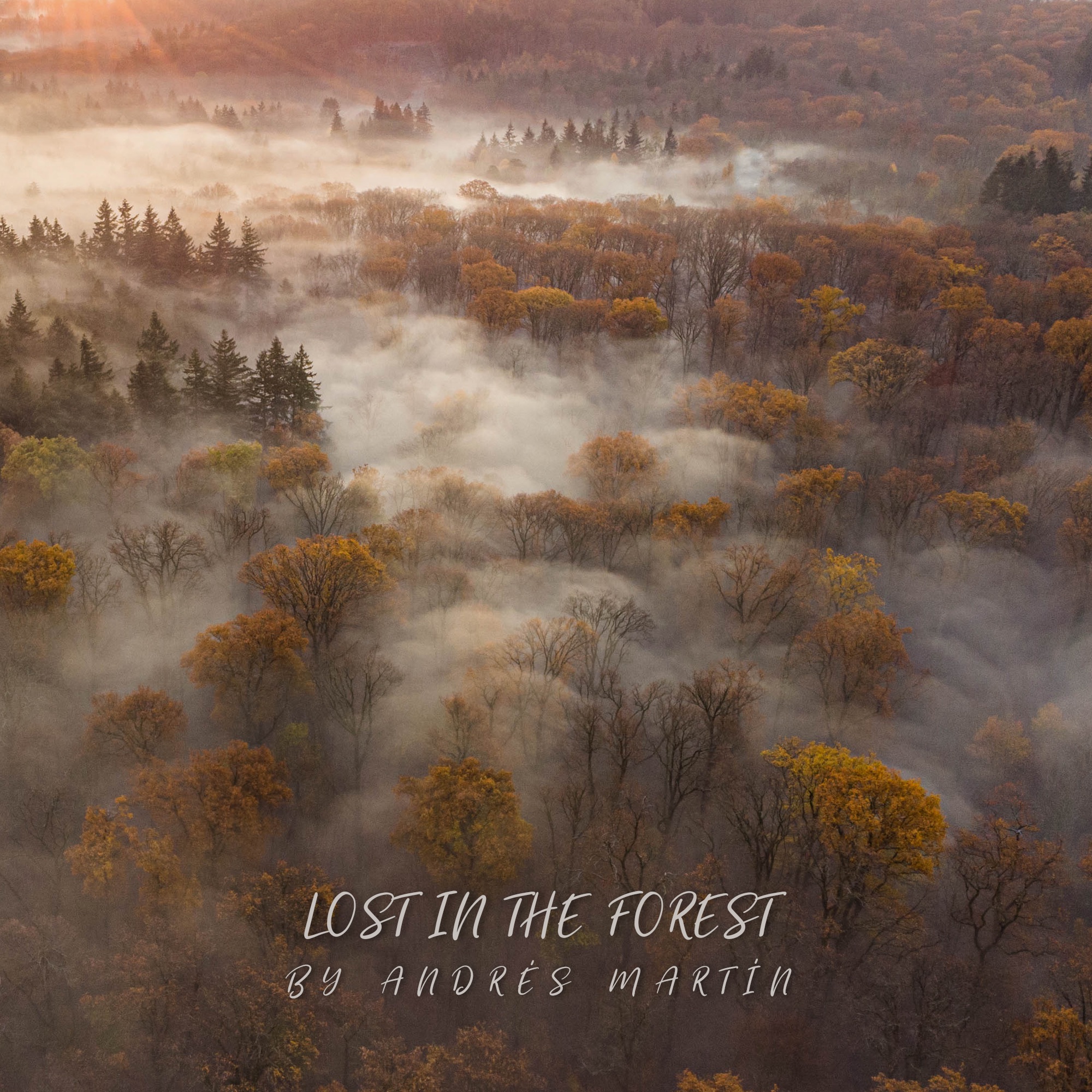 Lost In The Forest - Single
