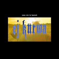 Ej kurwa (feat. DJ Bastard) - Single - Eter & YANN