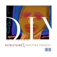 D.I.Y Mixtape - Geebzzyking & Trusttha Process