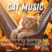 CAT MUSIC - Soothing Songs to Keep Your Cat Calm artwork