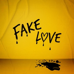 Fake Love - Single