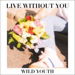 Live Without You - Single