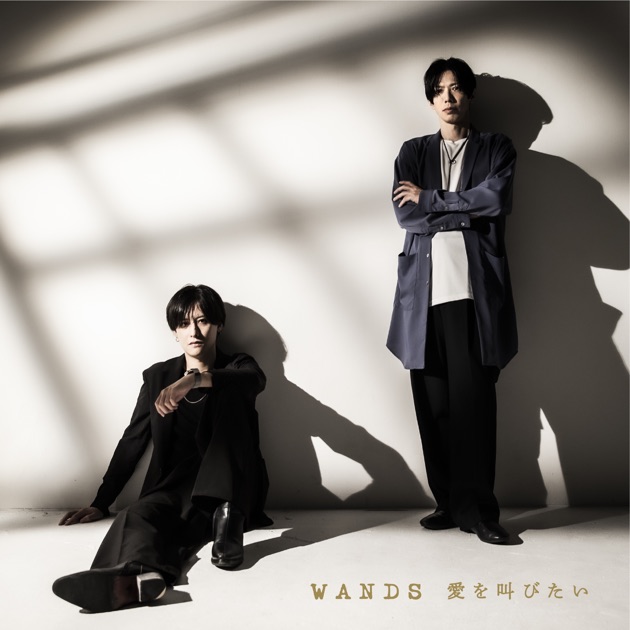 【新品未読誌】WANDS 5冊セット Version 5.0 - WANDSのアルバム - Apple Music