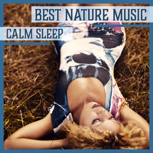 Best Nature Music: Calm Sleep – Healing Sounds for Dreams, Woodland Relaxation & Sea, Rain Drops, Insomnia Cure