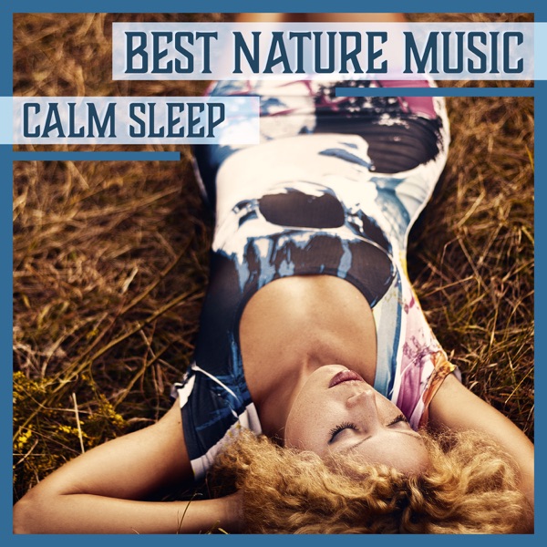 Best Nature Music: Calm Sleep – Healing Sounds for Dreams, Woodland Relaxation & Sea, Rain Drops, Insomnia Cure